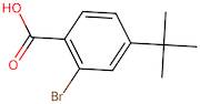 2-Bromo-4-(tert-butyl)benzoic acid