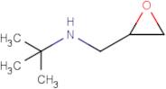 2-Methyl-N-((oxiran-2-yl)methyl)propan-2-amine