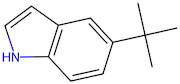 5-(tert-Butyl)-1H-indole