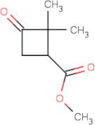 Methyl 2,2-dimethyl-3-oxocyclobutane-1-carboxylate