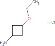 3-Ethoxycyclobutan-1-amine hydrochloride