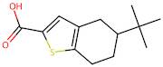 5-(tert-Butyl)-4,5,6,7-tetrahydrobenzo[b]thiophene-2-carboxylic acid