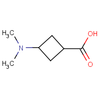 3-(Dimethylamino)cyclobutanecarboxylic acid