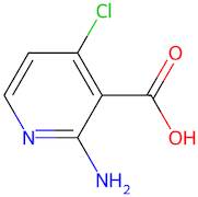 2-Amino-4-chloronicotinic acid