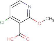 4-Chloro-2-methoxynicotinic acid