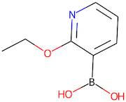 2-Ethoxypyridine-3-boronic acid