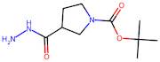 tert-Butyl 3-(hydrazinecarbonyl)pyrrolidine-1-carboxylate