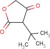 3-tert-Butyl-4-hydroxyfuran-2(5H)-one