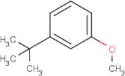 1-(tert-Butyl)-3-methoxybenzene