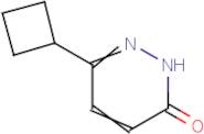 6-Cyclobutyl-3(2H)-pyridazinone