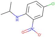 N-Isopropyl-4-chloro-2-nitroaniline