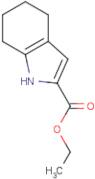 Ethyl 4,5,6,7-tetrahydro-1H-indole-2-carboxylate