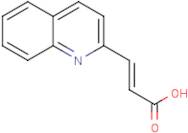 (E)-3-(Quinolin-2-yl)acrylic acid