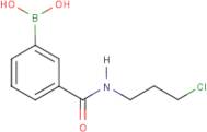 3-(3-Chloropropylcarbamoyl)benzeneboronic acid