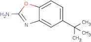 5-tert-Butyl-1,3-benzoxazol-2-amine