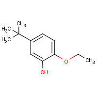 5-tert-butyl-2-ethoxyphenol