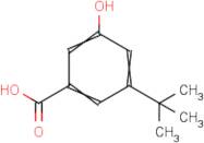 3-T-Butyl-5-hydroxybenzoic acid