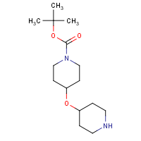 4-(Piperidin-4-yloxy)-piperidine-1-carboxylic acid tert-butyl ester