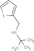 tert-Butyl(thiophen-2-ylmethyl)amine