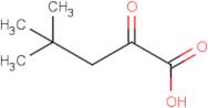 4,4-Dimethyl-2-oxo-pentanoic acid