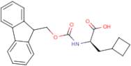 Fmoc-(R)-3-Cyclobutylalanine