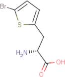 3-(5-Bromothien-2-yl)-D-alanine