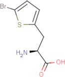 3-(5-Bromothien-2-yl)-L-alanine