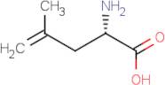 (S)-2-Methallylglycine