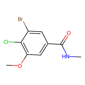 3-Bromo-4-chloro-5-methoxy-N-methylbenzamide