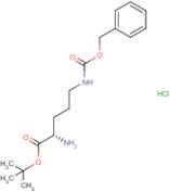 H-Orn(Z)-OtBu hydrochloride