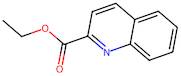 Ethyl quinoline-2-carboxylate