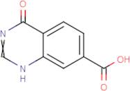 3,4-Dihydro-4-oxo-7-quinzolinecarboxylic acid