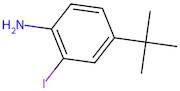 4-tert-Butyl-2-iodo-aniline