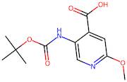 5-((tert-Butoxycarbonyl)amino)-2-methoxyisonicotinic acid