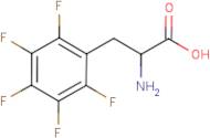 2,3,4,5,6-Pentafluoro-DL-phenylalanine