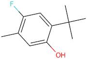 2-(1,1-Dimethylethyl)-4-fluoro-5-methylphenol