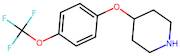 4-(4-(Trifluoromethoxy)phenoxy)piperidine