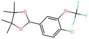 2-(4-Chloro-3-(trifluoromethoxy)phenyl)-4,4,5,5-tetramethyl-1,3,2-dioxaborolane