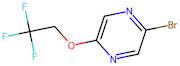 2-Bromo-5-(2,2,2-trifluoroethoxy)pyrazine