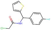 2-Chloro-n-[(4-fluorophenyl)(thiophen-2-yl)methyl]acetamide