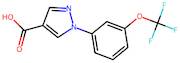 1-(3-(Trifluoromethoxy)phenyl)-1H-pyrazole-4-carboxylic acid