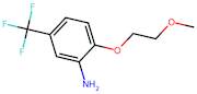 2-(2-Methoxyethoxy)-5-(trifluoromethyl)aniline