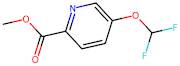 Methyl 5-(difluoromethoxy)picolinate