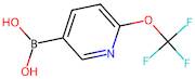 (6-(Trifluoromethoxy)pyridin-3-yl)boronic acid