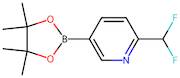 2-(Difluoromethyl)-5-(4,4,5,5-tetramethyl-1,3,2-dioxaborolan-2-yl)pyridine