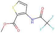 Methyl 3-(2,2,2-trifluoroacetamido)thiophene-2-carboxylate