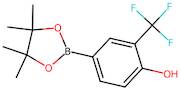 4-(4,4,5,5-Tetramethyl-1,3,2-dioxaborolan-2-yl)-2-(trifluoromethyl)phenol