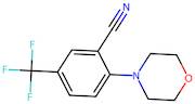 2-Morpholino-5-(trifluoromethyl)benzonitrile