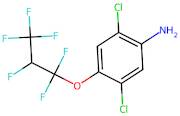 2,5-Dichloro-4-(1,1,2,3,3,3-hexafluoropropoxy)aniline