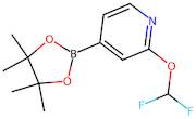 2-(Difluoromethoxy)-4-(4,4,5,5-tetramethyl-1,3,2-dioxaborolan-2-yl)pyridine